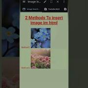 2 Methods To Insert Images In Html Image Html Htmltutorial Beginners