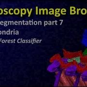 MIB Image Segmentation Tutorial 7 Random Forest Classifier