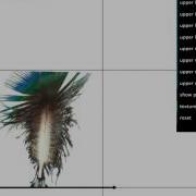 Texture Distortion Interactive 3D Graphics
