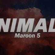 Maroon 5 Animals Lyrics