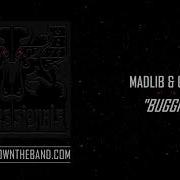 The Professionals Madlib Oh No Buggin Audio 2020
