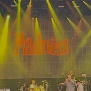 Madness Embarrassment Middlesbrough Albert Park June 2023