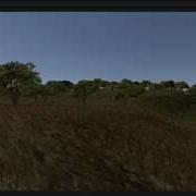 Unity 5 Terrain Composer SpeedTree