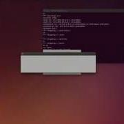 Fix Get Wireshark To Run With Mininet