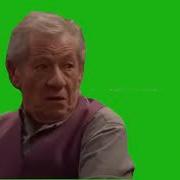 Ian McKellen Saying Bitch Please Green Screen