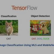 Image Classification Using ML5 Js With P5 Js And MobileNet