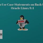 How To Use Case Statements On Bash Script In Oracle Linux 9 4