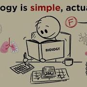 How To Study BIOLOGY So FAST That It Feels ILLEGAL