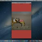 How To Overlay Text On An Image React Native