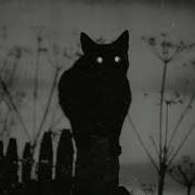 Jacob Tillberg Ghosts Slowed Reverb Edit Ver