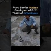 Senior Python Developer Shorts Shortsfeed Shortsbeta Python Funny Shortsvideo Viral