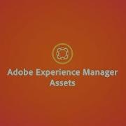 The Do Everything Digital Asset Manager DAM Adobe Experience Manager Assets