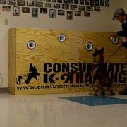 K9 Buster Explosives Detection Training