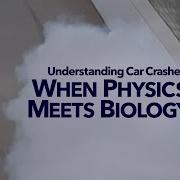 Understanding Car Crashes When Physics Meets Biology