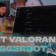 VALORANT COLORBOT TRIGGERBOT Setup Guide How To Get Synthar