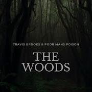 The Woods Travis Brooks And Poor Mans Poison