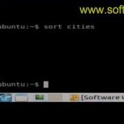How To Sort The File Contents In Bash