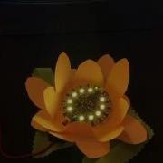 Adafruit Dandelion Project With Microsoft MakeCode