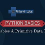 1 Python Basics Variables Primitive Data Type