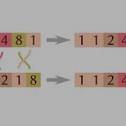 Introduction To Normalization By Evaluation