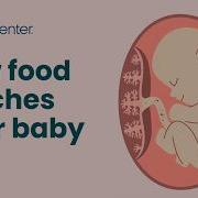 How Food Reaches Your Baby