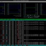 How To Install And Use Htop Linux Process Monitoring On Linux