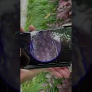 SCIENCE CAN Portable Microscope