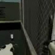 Counter Strike Source Bugs