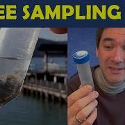 How To Collect Water Samples For Microscopy 3 Simple Tips