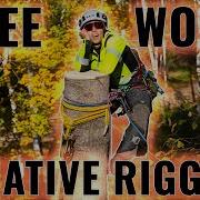 Tree Work Basics Of Negative Rigging