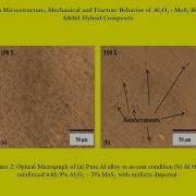 Study On Microstructure Mechanical And Fracture Behavior Of Al2O3 MoS2 Reinforced