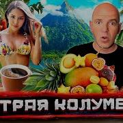 Колумбия для взрослых Сладости и гадости Медельина Райский остров Staspognali