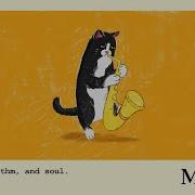 Cat Jazz