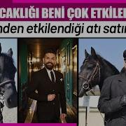 Ünlü Şarkıcı Mehmet Çevik Gözlerinden Etkilendi Atı Satın Aldı