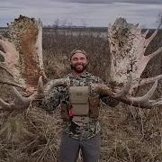 HUGE ALASKAN MOOSE SHEDS Shed Hunting For Moose Paddles
