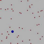 Collision Avoidance Algorithm