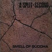 A Split Second Check It Out Drinking Sand 1987
