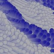 How To Animate Patterns In Spline
