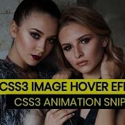CSS Image Hover Effect Tutorial For Beginners CSS3 Animation Snippets