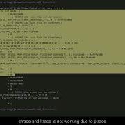 Solving Malformed ELF Header Anti Debug Crackme With Qiling GDBserver Qiling Qltool