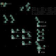 Orcλ 2024 07 31