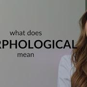 Morphological Meaning Of MORPHOLOGICAL