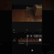 Muzzle Flash Placements For Capcut