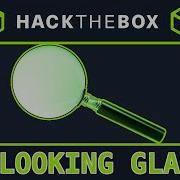 Looking Glass Easy HackTheBox Web Challenge Command Injection