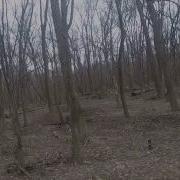 Shooting The ASM Colt Walker POV