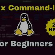 Basic Linux Commands For Beginners