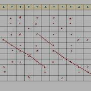 Introduction To Bioinformatics Dot Plot For Comparing Two Sequences