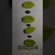 Examples Of Repeating Pattern Repeat Pattern Learning Maths Shorts