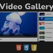 How To Create Responsive Video Gallery Using HTML CSS Vanilla JavaScript Step By Step