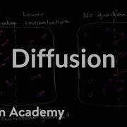 Diffusion Membranes And Transport Biology Khan Academy